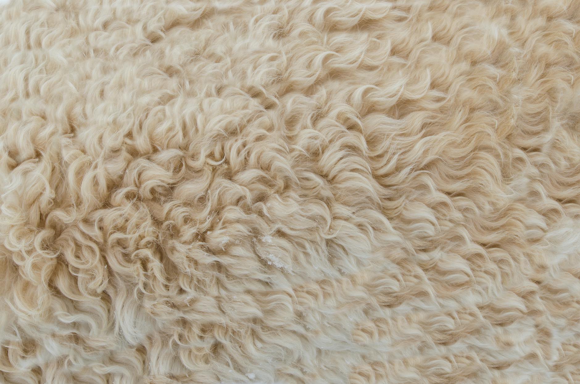 Pexels Photo 317333